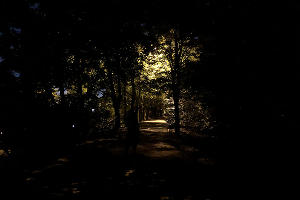  © Фото Дмитрия Пославского, Юга.ру