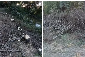  &copy;&nbsp;Скриншот фото из телеграм-канала &laquo;Наша газета Новороссийск&raquo;