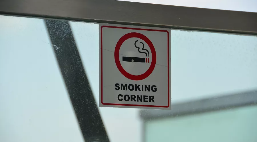  &copy;&nbsp;Фото с сайта pixabay.com