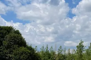  &copy;&nbsp;Фото из телеграм-канала t.me/edinakgardens