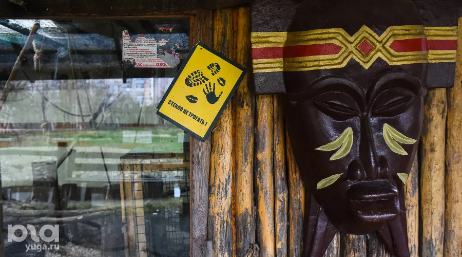  &copy;&nbsp;Фото Елены Синеок, Юга.ру