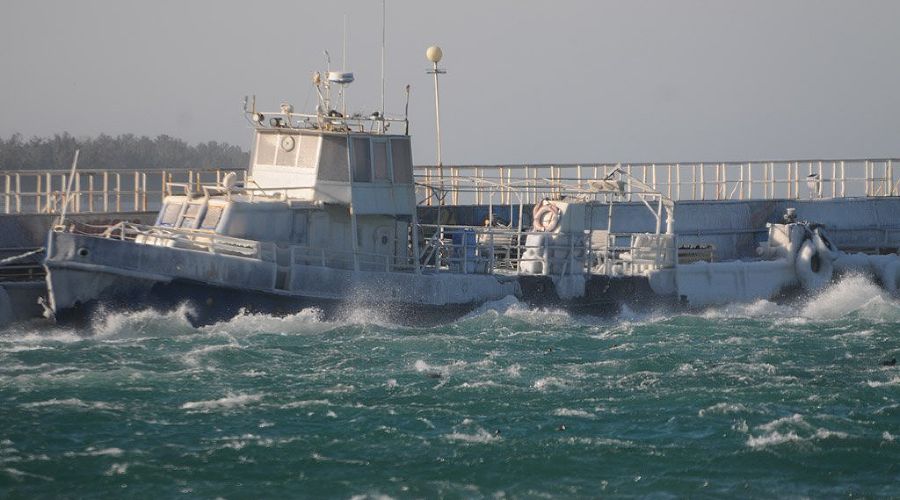  © Фото Елены Синеок, Юга.ру