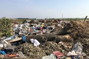  &copy;&nbsp;Фото Антона Быкова, Юга.ру