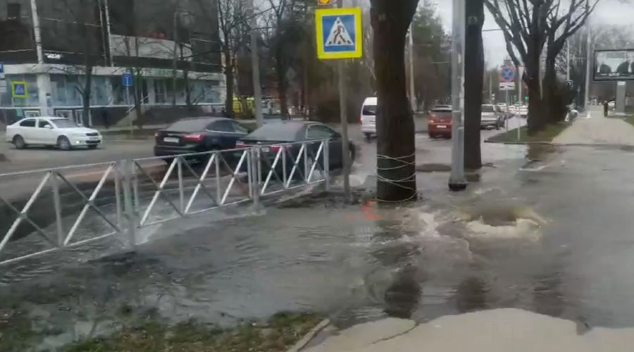  © Скриншот видео из канала «Типичный Краснодар», tmtr.me/krd_tipich_ru