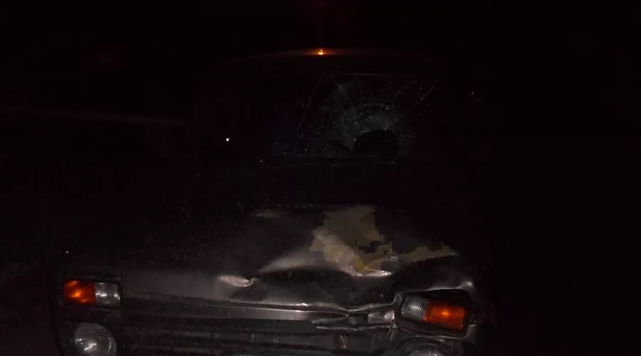  &copy;&nbsp;Фото отдела пропаганды УГИБДД ГУ МВД по Краснодарскому краю