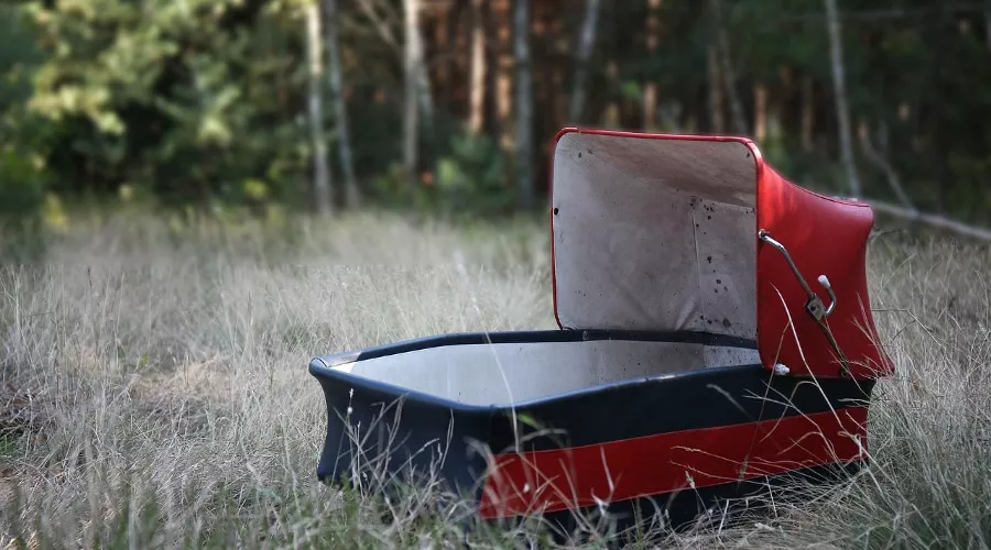  &copy;&nbsp;Фото Mirekis, pixabay.com