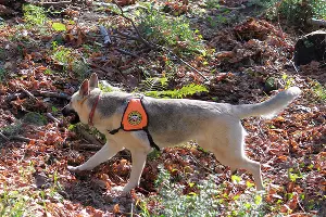  &copy;&nbsp;Фото пресс-службы южного регионального поисково-спасательного отряда МЧС России