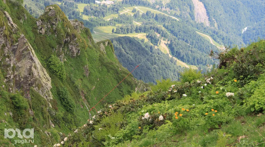  &copy;&nbsp;Фото Марины Солошко, Юга.ру