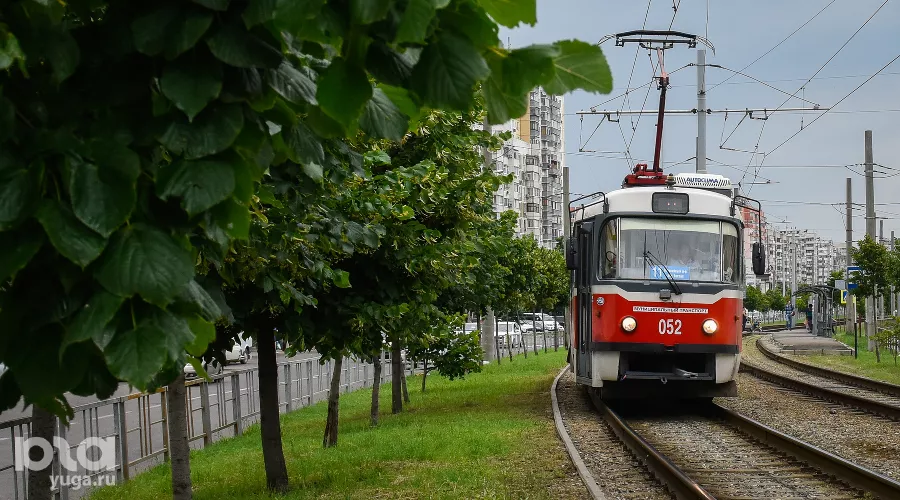  &copy;&nbsp;Фото Елены Синеок, Юга.ру