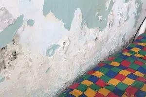 &copy;&nbsp;Фото Романа Гафонова, https://www.instagram.com/gafon.rom/