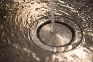  &copy;&nbsp;Фото Елены Синеок, Юга.ру