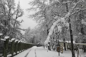  &copy;&nbsp;Фото пресс-службы Кавказского заповедника