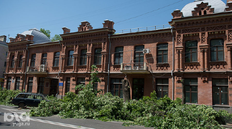 Спил деревьев на ул. Красной в Краснодаре &copy;&nbsp;Михаил Ступин, ЮГА.ру