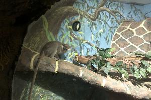  &copy;&nbsp;Фото пресс-службы Ростовской таможни