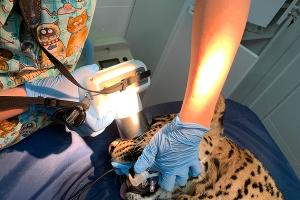  &copy;&nbsp;Фото пресс-службы нацпарка Сочи