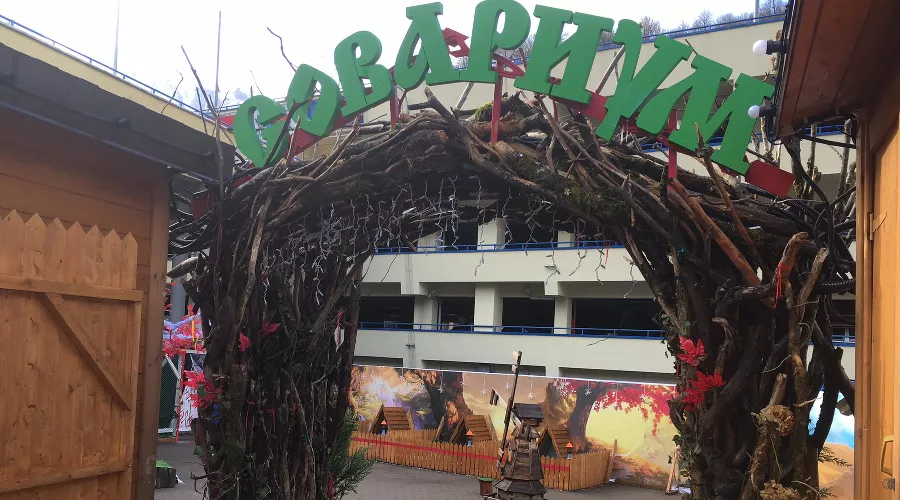 Совариум &copy;&nbsp;Фото Юга.ру