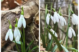  &copy;&nbsp;Скриншот из соцсетей Натальи Елагиной https://vk.com/id158667079