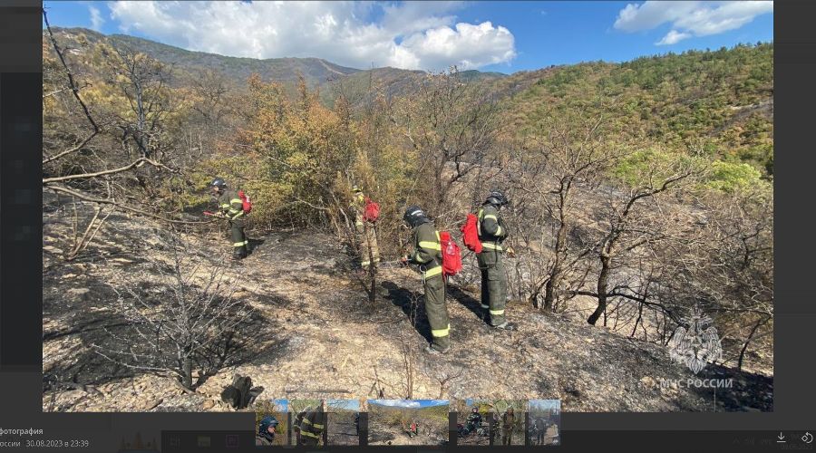 Тушение пожара в Геленджике &copy;&nbsp;скриншот публикации в телеграм канале МЧС России https://t.me/mchs_official/10957