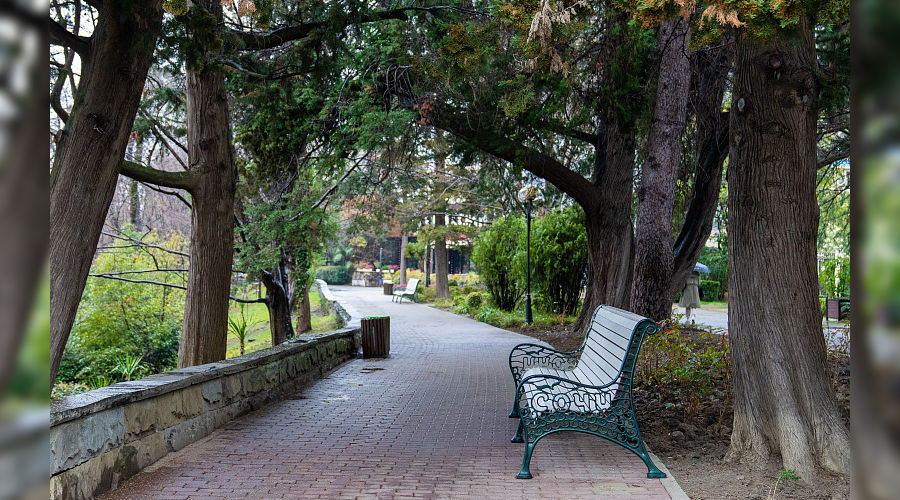  © Фото пресс-службы администрации Сочи