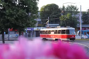  &copy;&nbsp;Фото Марины Солошко, Юга.ру