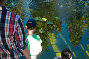 Парк «Краснодар» открылся после карантина © Фото Дмитрия Леснова, Юга.ру