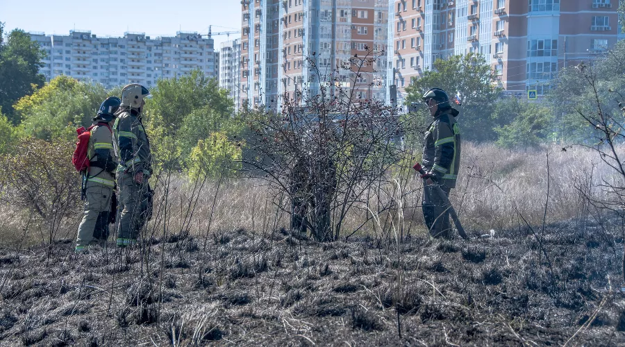  &copy;&nbsp;Фото Sega Black-Sea