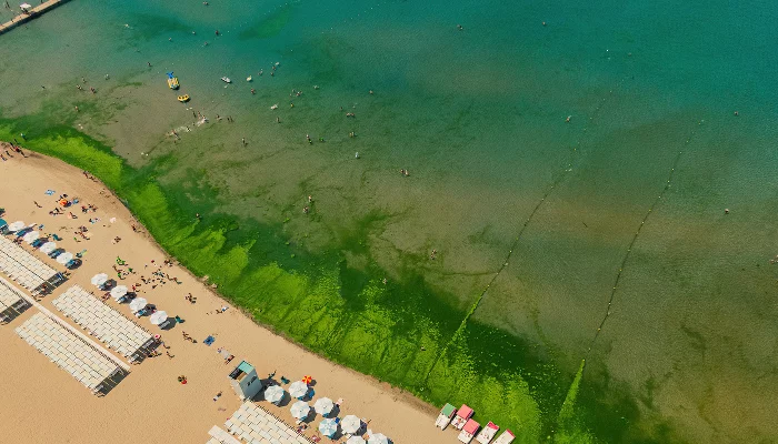  &copy;&nbsp;Фото Антона Быкова, Юга.ру