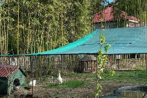  © Фото Оксаны Тимченко, пресс-служба Кавказского заповедника