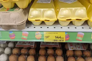  &copy;&nbsp;Фото Александры Прохоренковой-Аксёновой, Юга.ру