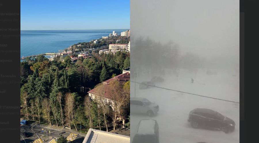  © скриншот t.me/alesiapetrovna