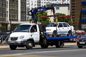  © Фото Елены Синеок, Юга.ру