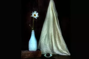  &copy;&nbsp;Скриншот фото из письма от Краснодарского краевого выставочного зала