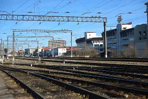  &copy;&nbsp;Фото Елены Синеок, Юга.ру