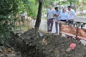  &copy;&nbsp;Фото пресс-службы администрации Краснодара