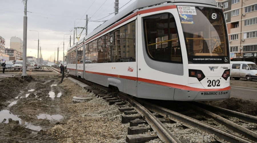  &copy;&nbsp;Фото Александра Райко, пресс-служба мэрии Краснодара