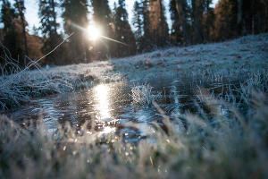  &copy;&nbsp;Елена Синеок, ЮГА.ру