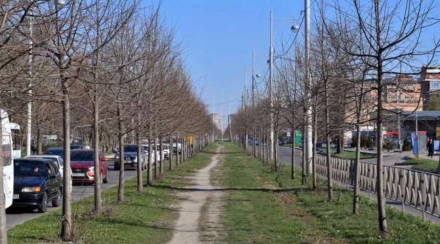 улица Московская &copy;&nbsp;Фото пресс-службы администрации Краснодара