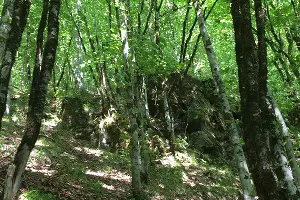 Крепость Ачипсе &copy;&nbsp;Фото Юлии Барановой, Юга.ру