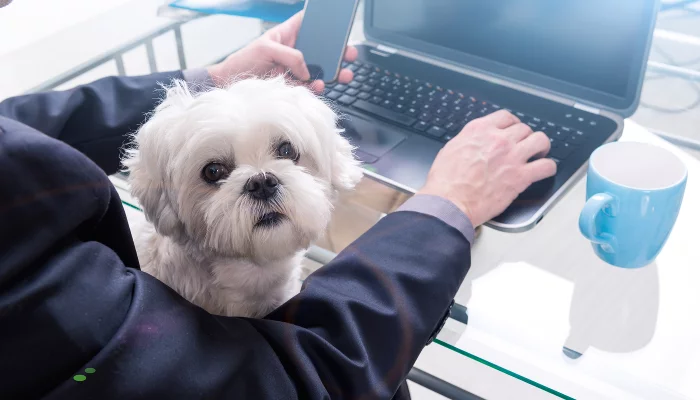  &copy;&nbsp;Фото пресс-службы Tele2