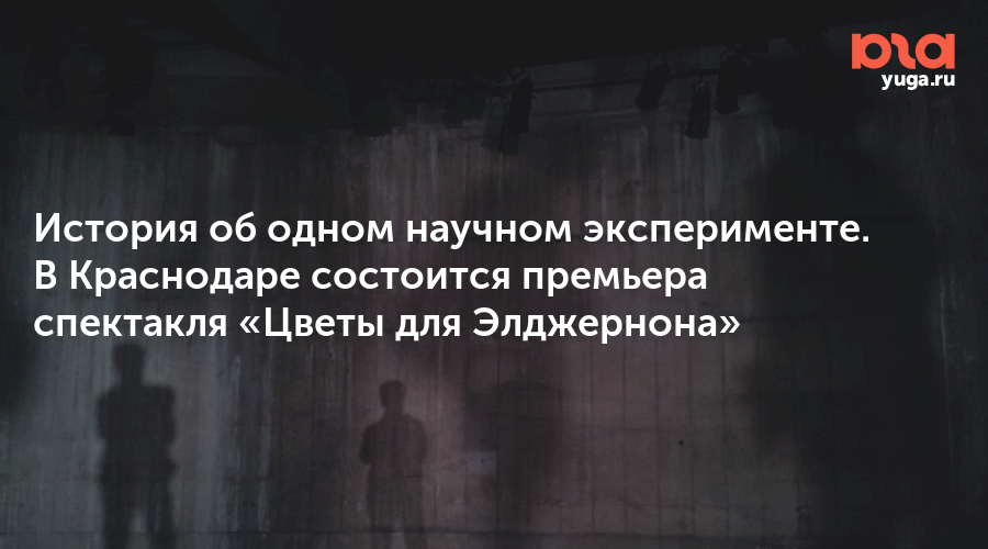 История об одном научном эксперименте. В Краснодаре состоится премьера спектакля «Цветы для Элджернона»