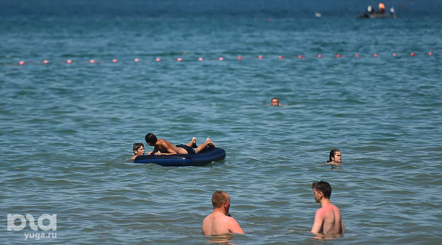  &copy;&nbsp;Фото Елены Синеок, Юга.ру