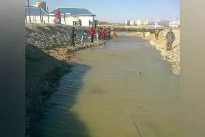  &copy;&nbsp;Фото из аккаунта &laquo;Новороссийск новости&raquo;, instagram.com/nvrsk_news