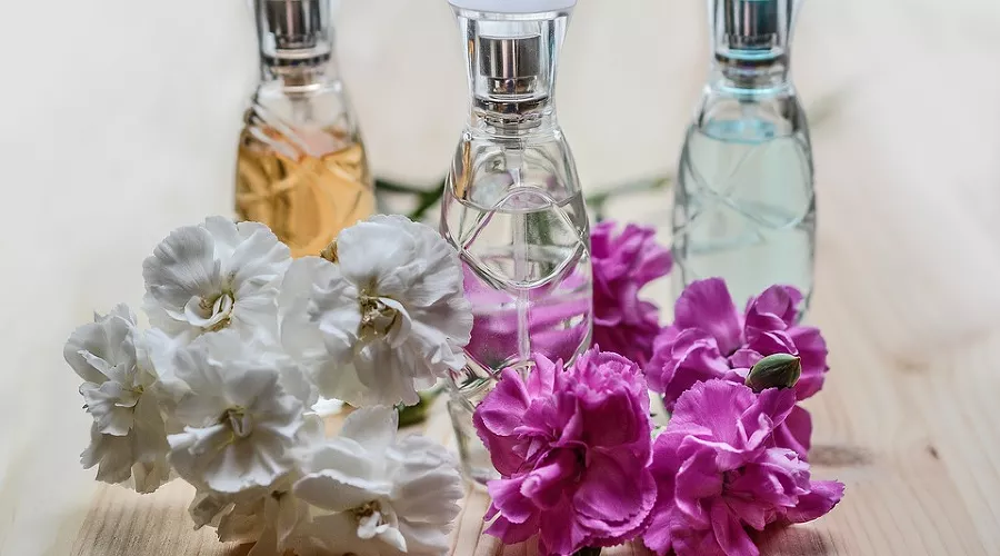  &copy;&nbsp;Фото с сайта pixabay.com