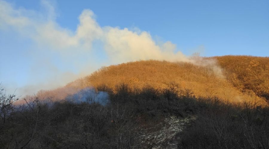  &copy;&nbsp;Фото пресс-службы ГУ МЧС России по Краснодарскому краю