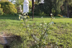  &copy;&nbsp;Фото пресс-службы Сочинского национального парка
