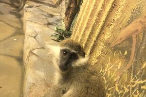  &copy;&nbsp;Фото пресс-службы Ростовской таможни