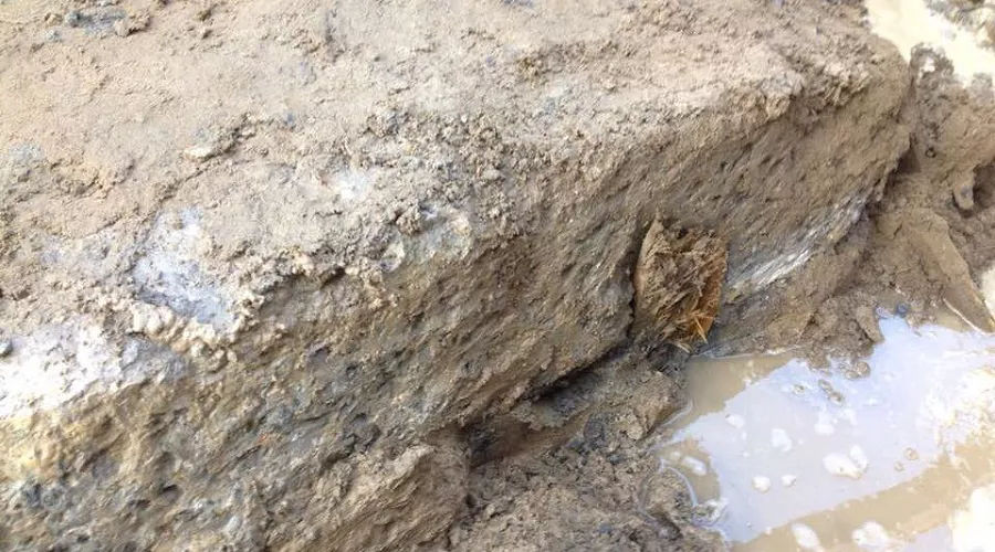  &copy;&nbsp;Фото из аккаунта facebook.com/vladimir.verbitskiy