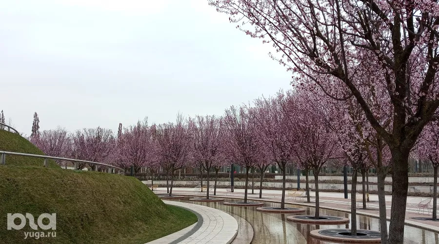 Весна в парке «Краснодар» &copy;&nbsp;фото Андрея Малёваного