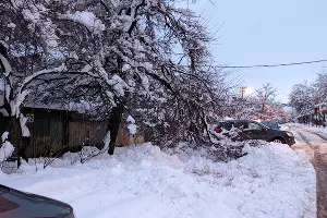  &copy;&nbsp;Фото Александры Прохоренковой-Аксеновой, Юга.ру