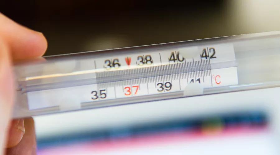  &copy;&nbsp;Фото Matteo Fusco, unsplash.com